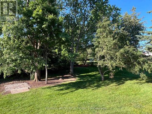 Summer Views - 25 Norman Avenue, King, ON - Outdoor