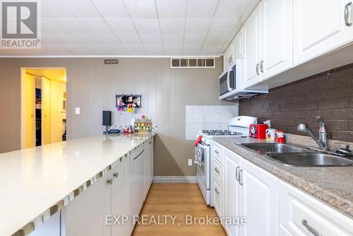 Lower Level Kitchen - 102 The Country Way, Kitchener, ON - Indoor Photo Showing Kitchen With Double Sink
