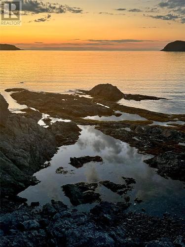 8A Carter'S Head Road, Twillingate, NL 