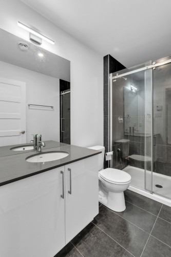 Bathroom - 205-191 Av. Brock S., Montréal-Ouest, QC - Indoor Photo Showing Bathroom