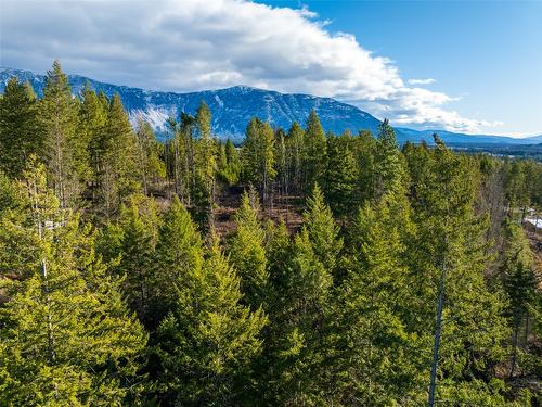 Lot B Fox Tree Hill Road, Lister, BC 