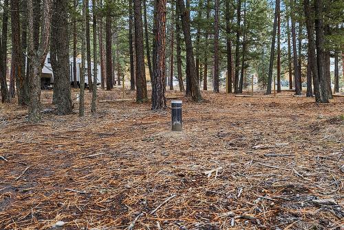 4918 Buck Crescent, Wasa, BC - Outdoor