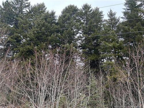 Lot 26-2 Backland Rd, Kingston, NB 