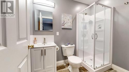 49 Dawsons Run, Conception Bay South, NL - Indoor Photo Showing Bathroom