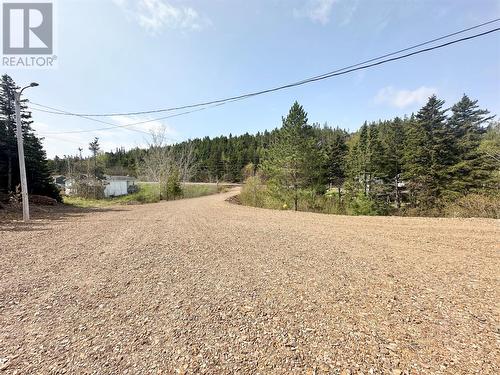 24 Main Road, Cottrell'S Cove, NL - Outdoor With View