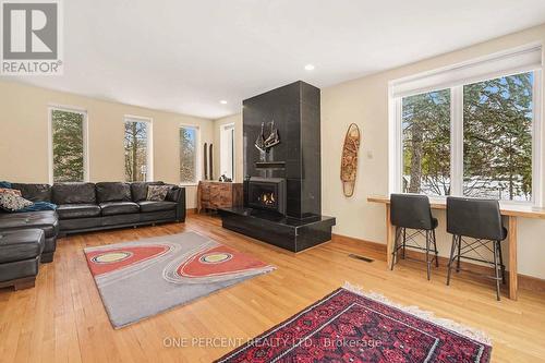 60 Pontiac Street, Ottawa, ON - Indoor Photo Showing Living Room With Fireplace