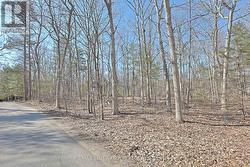 10296 GRAND OAKS DRIVE Lambton Shores (Grand Bend), ON N0M 1T0