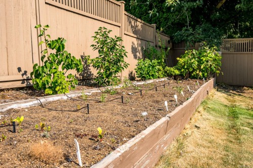 1952 Marten Ave, Comox, BC 