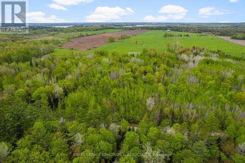 0 Wright Road, Whitewater Region, ON 
