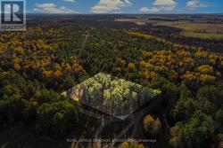 100 NANGOR TRAIL Whitewater Region, ON K0J 2L0