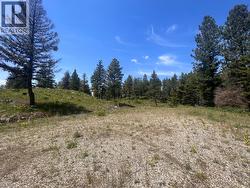 125 SASQUATCH Trail Osoyoos, BC V0H 1V6