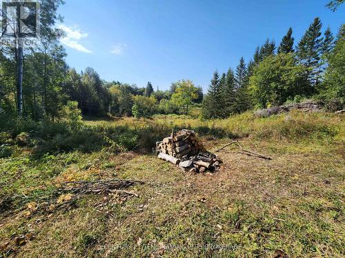 Lt 7-9 Main Street, Englehart (Central Timiskaming), ON 