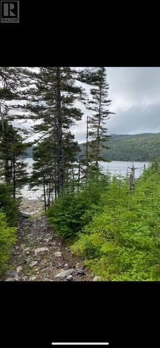 181-535 Fox Harbour Road, Placentia, NL 