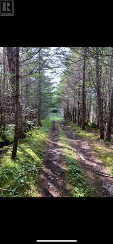 181-535 Fox Harbour Road, Placentia, NL 