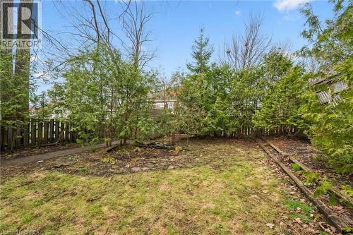 The property features a fenced yard with established trees and evergreen shrubbery, providing a natural border - 28 Davidson Street, Cambridge, ON - Outdoor
