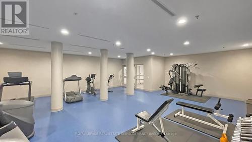 603 - 11 William Carson Crescent, Toronto, ON - Indoor Photo Showing Gym Room
