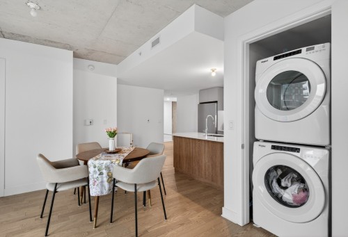 Laundry - 614-100 Rue Murray, Montréal (Le Sud-Ouest), QC - Indoor Photo Showing Laundry Room