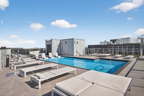 Pool - 614-100 Rue Murray, Montréal (Le Sud-Ouest), QC - Outdoor With In Ground Pool