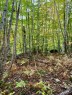Terre/Terrain - Ch. Des Merles, Potton, QC 