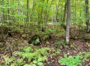 Terre/Terrain - Ch. Des Merles, Potton, QC 