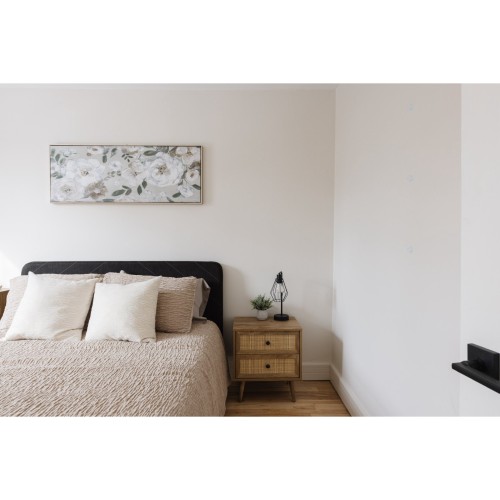 Chambre à coucher principale - 3841 Rue Drolet, Montréal (Le Plateau-Mont-Royal), QC - Indoor Photo Showing Bedroom