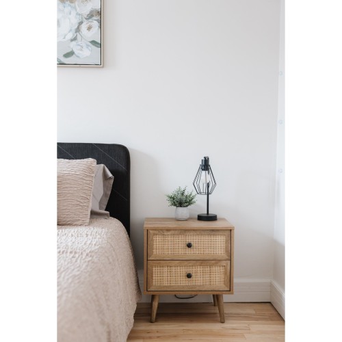 Chambre à coucher principale - 3841 Rue Drolet, Montréal (Le Plateau-Mont-Royal), QC - Indoor