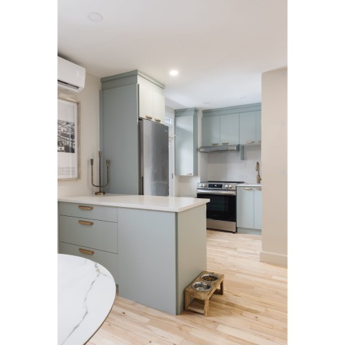 Cuisine - 3841 Rue Drolet, Montréal (Le Plateau-Mont-Royal), QC - Indoor Photo Showing Kitchen