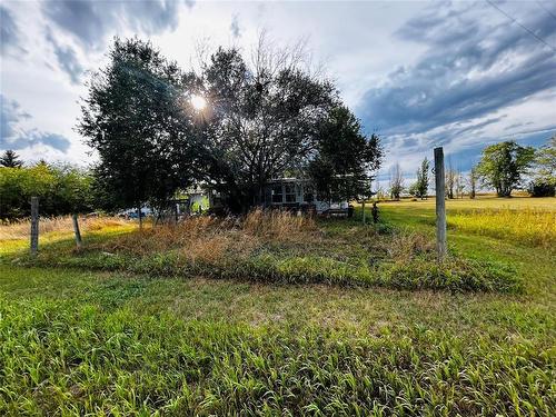 Pierson, Manitoba - Outdoor With View