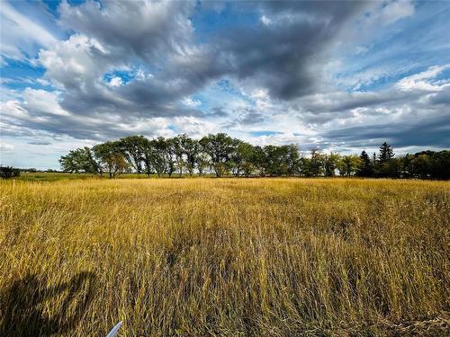 Pierson, Manitoba - Outdoor With View