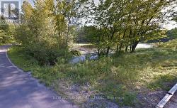 7816 RIVERLEIGH DRIVE Ramara, ON L0K 2B0