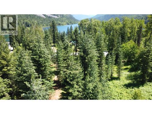 212 Island View Road, Nakusp, BC 