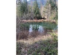 Kittyhawk Road Lot# Lot B Kitchener, BC V0B 1W1