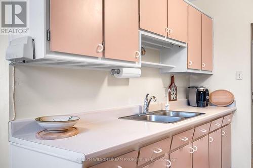 2422 Magnus Avenue, Ottawa, ON - Indoor Photo Showing Kitchen With Double Sink