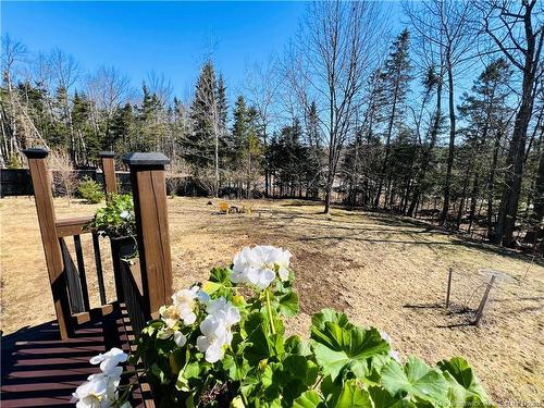 18 Ledge Loop Rd, Dufferin, NB 