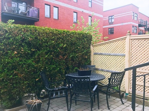 Jardin - 200 Allée Glendale, Montréal (Outremont), QC - Outdoor