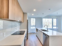 Kitchen - 