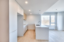 Kitchen - 