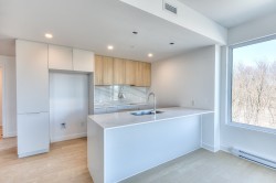 Kitchen - 