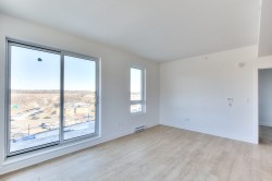 Living Room - 