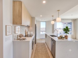 Kitchen - 