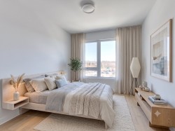 Bedroom - 