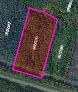 Back Road Lot CH De la Petite Riviere Aldouane, NB E4W 5C1