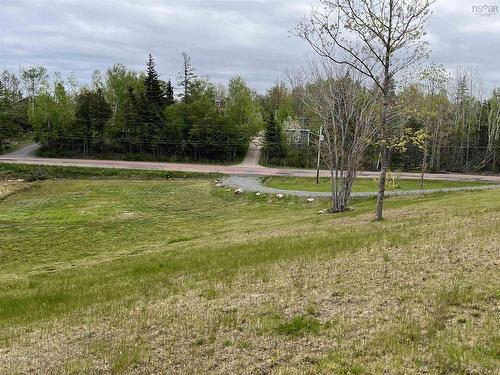 Lot 233 Sinclair Road, Chance Harbour, NS 