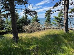 8208 Highway 209 Wards Brook, NS B0M 1S0