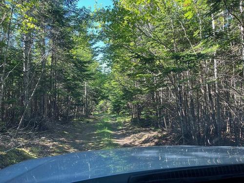 8208 Highway 209, Wards Brook, NS 