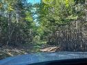 8208 Highway 209, Wards Brook, NS 