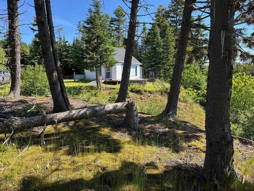 8208 Highway 209, Wards Brook, NS 