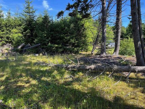 8208 Highway 209, Wards Brook, NS 