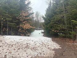 Collins Road  New Perth, PE C0A 1G0