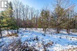 00 MAPLE STREET  Lanark Highlands, ON K0G 1M0